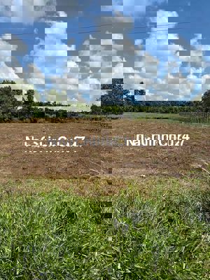 cần ra lô đất chính chủ