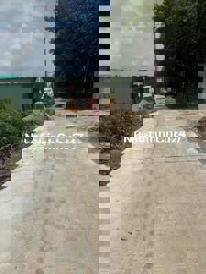 Chính chủ cần bán đất xã Long Phước