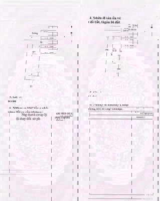 [CHÍNH CHỦ] 10x30 301m2 (100m2 thổ cư) Bông Trang BRVT