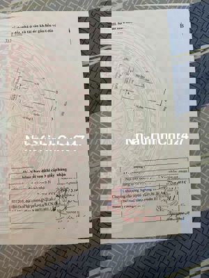 Chính Chủ bán đất tại ngõ 228 Cát Linh