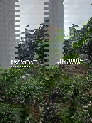 Chính chủ bán đất thổ cư Đường Hòa Bình, Yên Nghĩa, 6 tỷ, 58m2