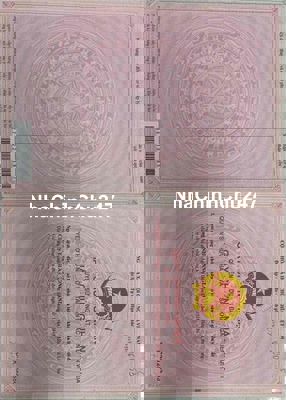 bể nợ chủ cần bán gấp