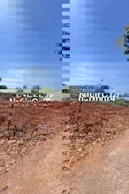 bán đất chính chủ