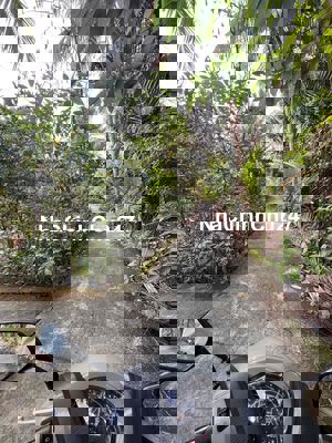 BÁN ĐẤT CHÍNH CHỦ MẶT TIỀN ĐƯỜNG BỜ ĐÊN 3M