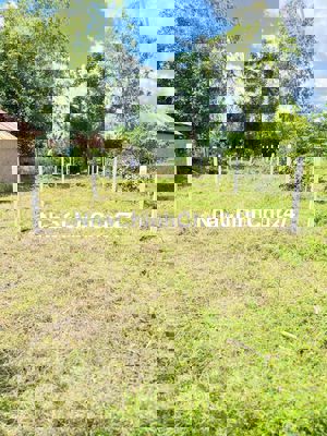 CHÍNH CHỦ CẦN BÁN ĐẤT FULL THỔ CƯ XÃ THANH ĐIỀN