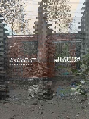 ĐẤT CÂY TRỒNG 4x20 305TR NGUYỄN KIM CƯƠNG CHÍNH CHỦ CCVB