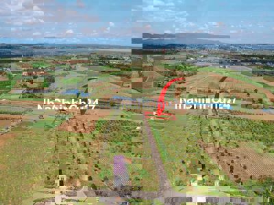 [Chính Chủ] Bán Ngộp Lô Đất 340m2 Full Thổ Cư Phường 2 Bảo Lộc