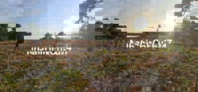 chính chủ bán đất CLN tại Hàm Cần HTN Bình Thuận (nay là xã Hàm Thạnh)