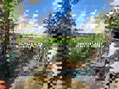 chủ kẹt bán đất 5.2x24m đường bê tông 3m giá 1tỷ350 TL