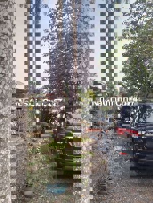 Chính chủ cần bán gấp nhà xưởng 364m2 ở lê minh xuân bình chánh hcm