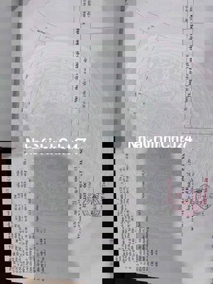 CHỦ CẦN BÁN GẤP LÔ ĐẤT KIỆT HOÀNG VĂN THÁI