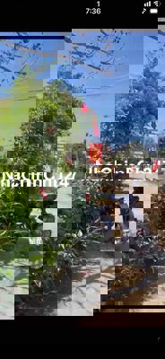 Chính chủ bán gấp 350m2 Điện quang điện bàng 1ti850