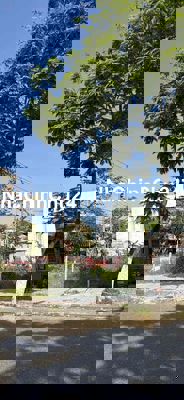 chính chủ gửi bán đường trần tử bình