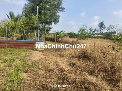 Chính chủ cần tiền bán gấp