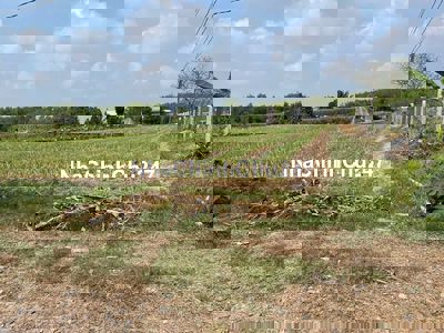 CHÍNH CHỦ BÁN ĐẤT 500M2 GẦN VINHOMES HẬU NGHĨA LONG AN, SHR,ĐƯỜNG Ô TÔ