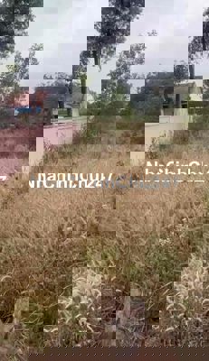 CHÍNH CHỦ CẦN TẤT TOÁN NGÂN HÀNG BÁN  LÔ ĐẤT MẶT TIỀN ĐƯỜNG NHỰA BÙ ĐỐ