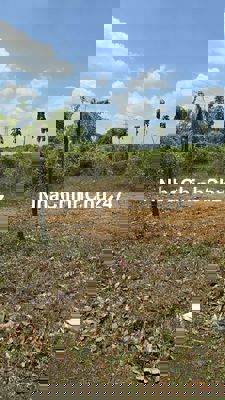 Chính chủ bán đất Bình Long 147m2 281 củ