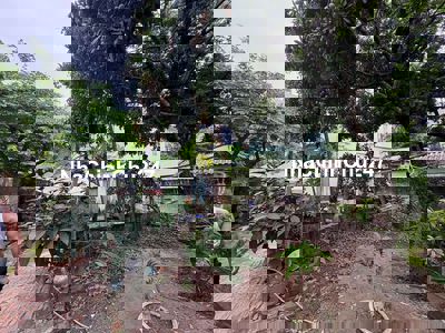 Chính chủ bán mảnh đất vàng Cẩm lý, Lục Nam, Bắc Giang 2050m, mt 22m.