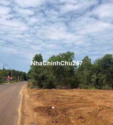 chủ nợ ngân hàng bán gấp