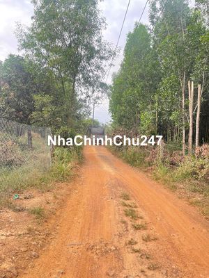 Chính Chủ Bán Gấp 1 Sào Đất Tại Xuân Bắc - Xuân Lộc | Giá Chỉ 380Tr