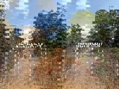 Chính chủ bán đất ở Xã Hoà Bình ngang 6m