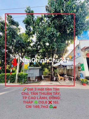 Bán miếng đất 3 mặt tiền (10,6x16) Tân Chủ, Tân Thuận Tây, Cao Lãnh ĐT