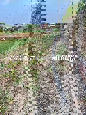 chủ bể nợi bán 627m đất lúa giá 850tr Sổ hồng đầy đủ