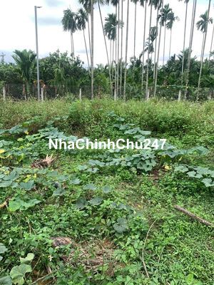 chính chủ cần bán nhanh lô đất không qua cò