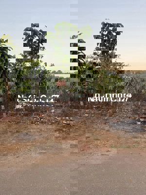 ÁN ĐẤT CHÍNH CHỦ – TRUNG TÂM GIA NGHĨA, ĐẮK NÔNG