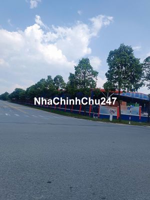 Chính Chủ Cần Bán Gấp Dãy 2 Trọ Ngay Trung Tâm BD, Sát Chợ, Bến Xe