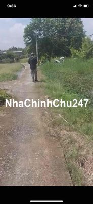 chủ ngộp cần bán gấp 2 miếng đất ấp 3 tân qúi tâu bình chánh gần 600m2