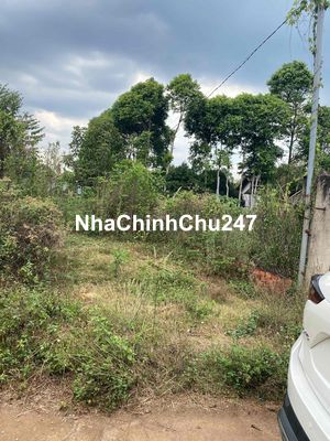 chính chủ cần bán gấp lô đất ở gần kcn dầu giây