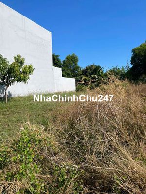 CHÍNH CHỦ. 
CẦN BÁN LÔ ĐẤT MẶT TIỀN NGUYỄN CHI THANH
LONG HẢI VŨNG TÀU