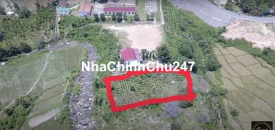 ĐẤT ĐAM RÔNG 2 sào Chính chủ