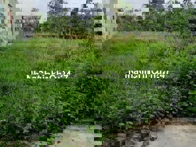 CHÍNH CHỦ CẦN BÁN GẤP 89M² THỔ CƯ LONG CANG - SỔ HỒNG RIÊNG