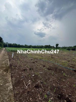 CHÍNH CHỦ CẦN RA NHANH LÔ ĐẤT HƠN 8000m2 TẠI XUÂN TÂY, ĐN
