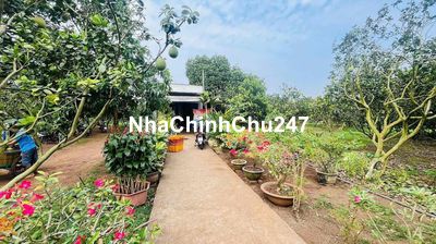 CHÍNH CHỦ KẸT VỐN