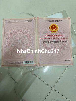 📣 BÁN ĐẤT CHÍNH CHỦ – PHƯỚC SƠN, TUY PHƯỚC, BÌNH ĐỊNH