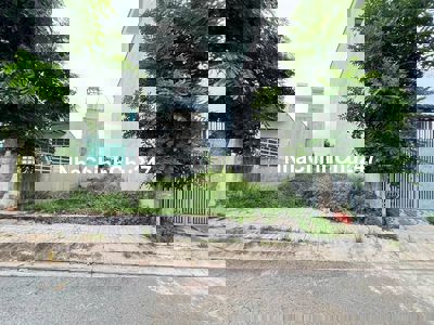 Chính chủ bán nhanh đất Cát Tường Phú Sinh 68m2 SHR, giá rẻ, đông dân