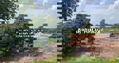 CHÍNH CHỦ BÁN ĐẤT VƯỜN NHÃN, CÓ THỔ CƯ - CHÂU THÀNH, ĐỒNG THÁP