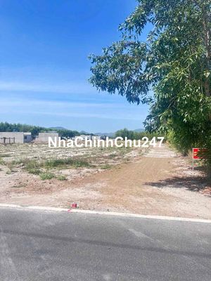 Chủ Ngộp Bank Bán Gấp 290m2 Đất Tại Phước Hải Chỉ Từ 1 Tỷ