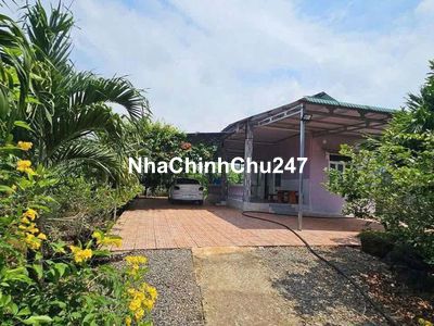 SAU TẾT CHỦ KẸT TIỀN LÀM ĂN NÊN CẦN BÁN GẤP CĂN NHÀ VƯỜN