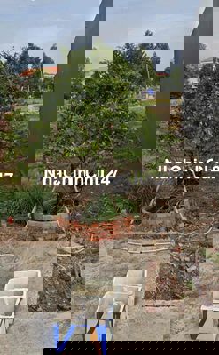 Chính chủ cần tùm người mua