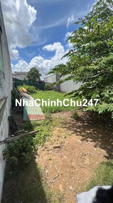 Cần BÁN GẤP đất CHÍNH CHỦ shr chợ Chiều, Đức Hoà Hạ