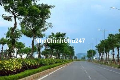 CHÍNH CHỦ BÁN NHANH 650M² MẶT TIỀN MAI ĐĂNG CHƠN – GẦN LÀNG ĐẠI HỌC