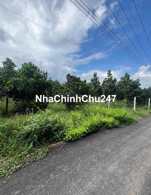 chủ không chăm nên cần bán lại vườn