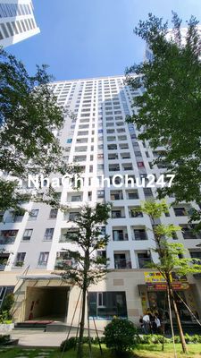 Bán căn hộ chung cư chính chủ tại Iris Tower, 1,29 tỷ, 45 m2