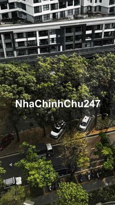 Chính chủ bán căn hộ Diamond Alnata Plus