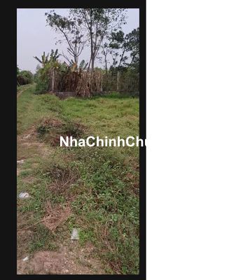 Chính chủ cần Bán Đất Nông Nghiệp xã Tân Phú, Quốc Oai