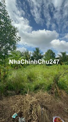 Chính chủ Bán đất full thổ cư, SHR, hẻm xe hơi, KDC đông đúc